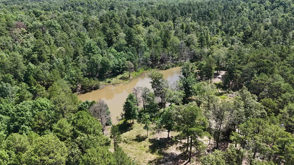 515 Foster Drive, Violet Hill, AR 72584 - #1
