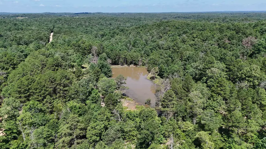 515 Foster Drive, Violet Hill, AR 72584 - #2
