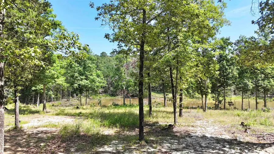515 Foster Drive, Violet Hill, AR 72584 - #3