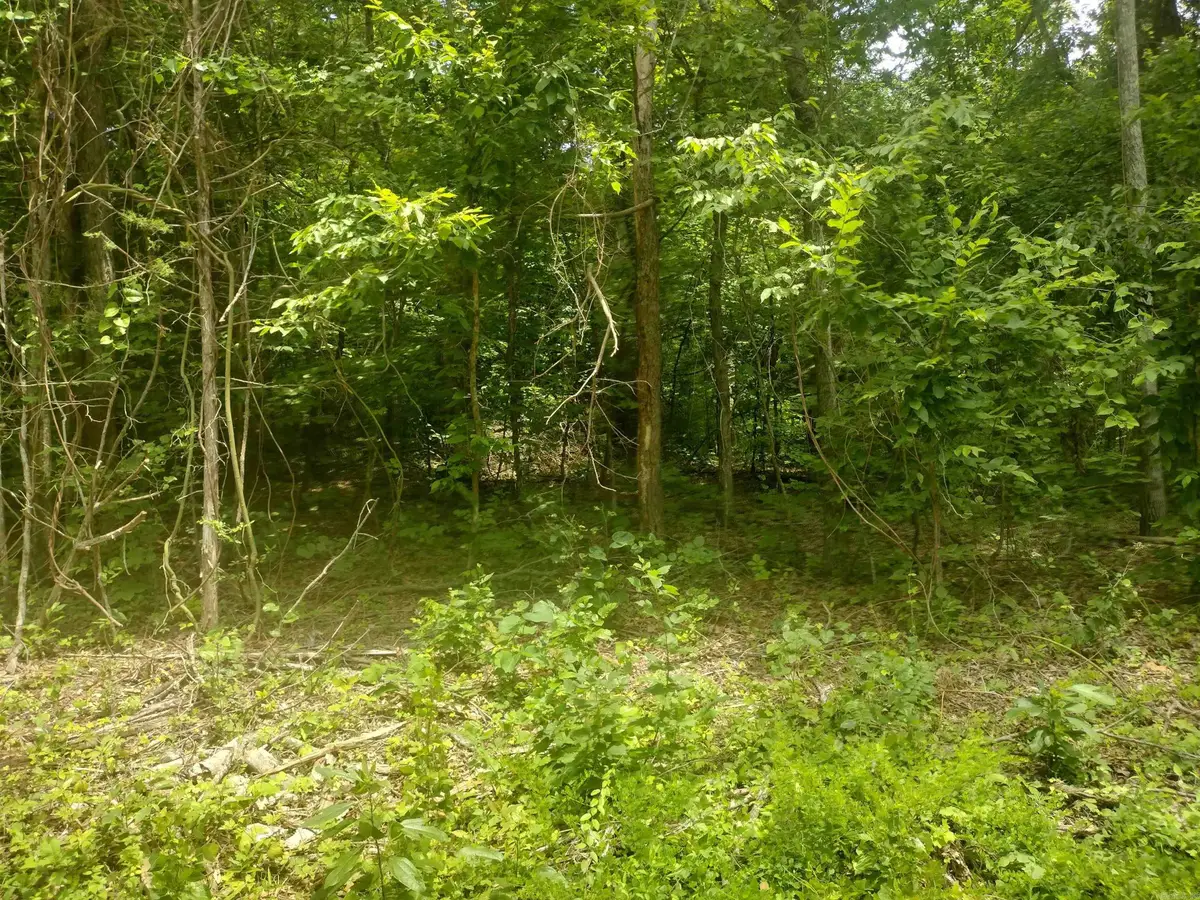 0 Mcitire Ln, Mountain View, AR 72560 - #1