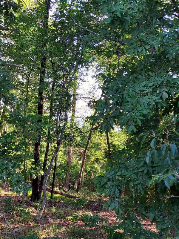 37 Pertusa Drive, Hot Springs Village, AR 71909