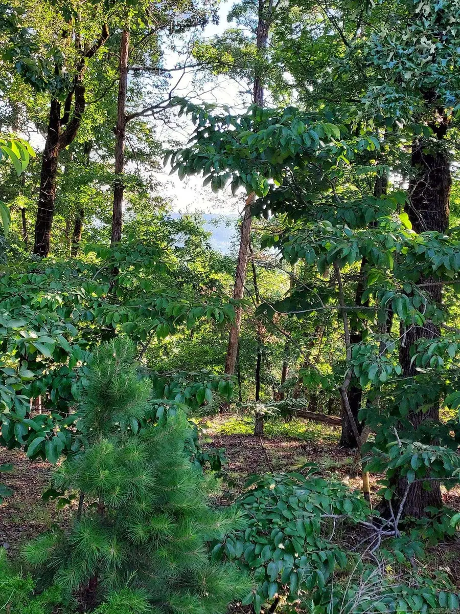 37 Pertusa Drive, Hot Springs Village, AR 71909 - #2