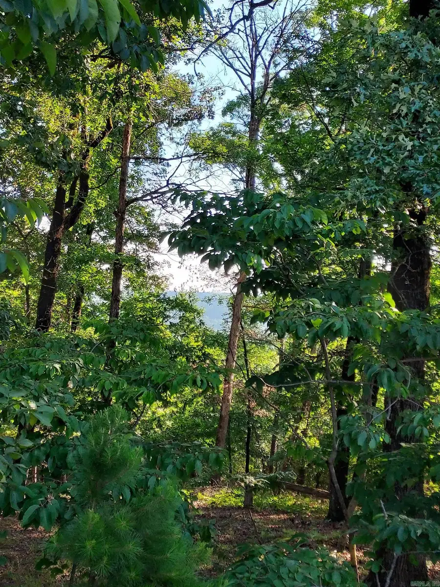 37 Pertusa Drive, Hot Springs Village, AR 71909 - #3