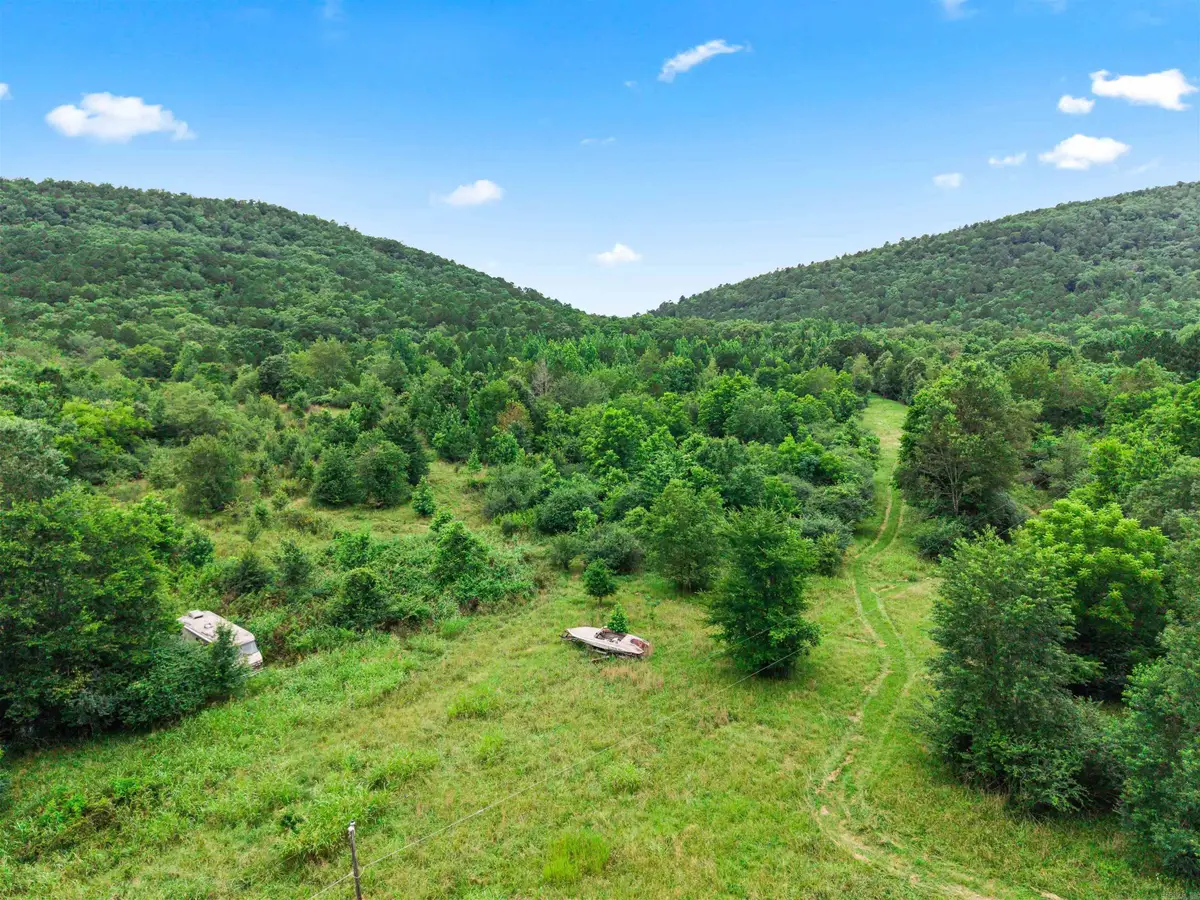 977 Wildcat Road, Hot Springs, AR 71913 - #1