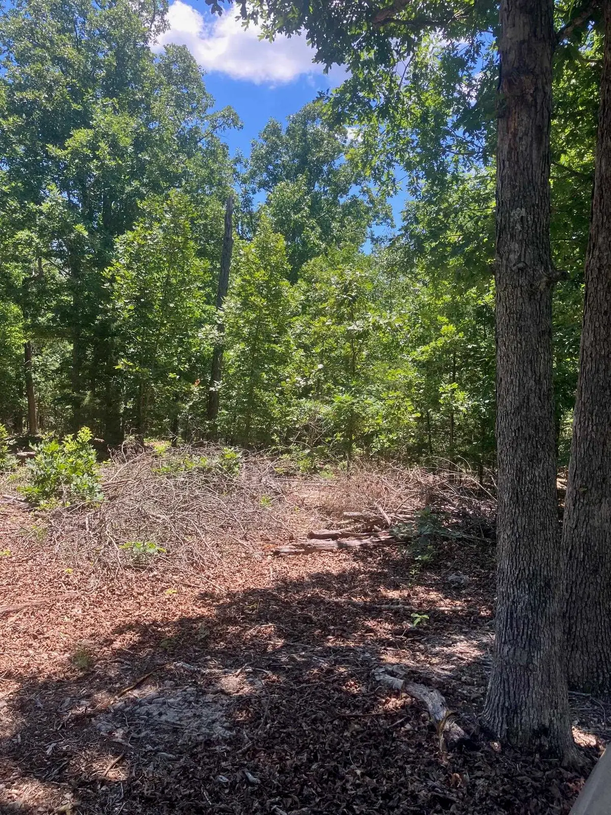 TBD Red Fox Road, Hardy, AR 72542 - #1