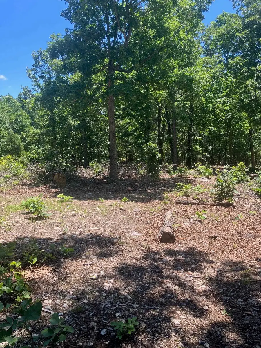 TBD Red Fox Road, Hardy, AR 72542 - #3