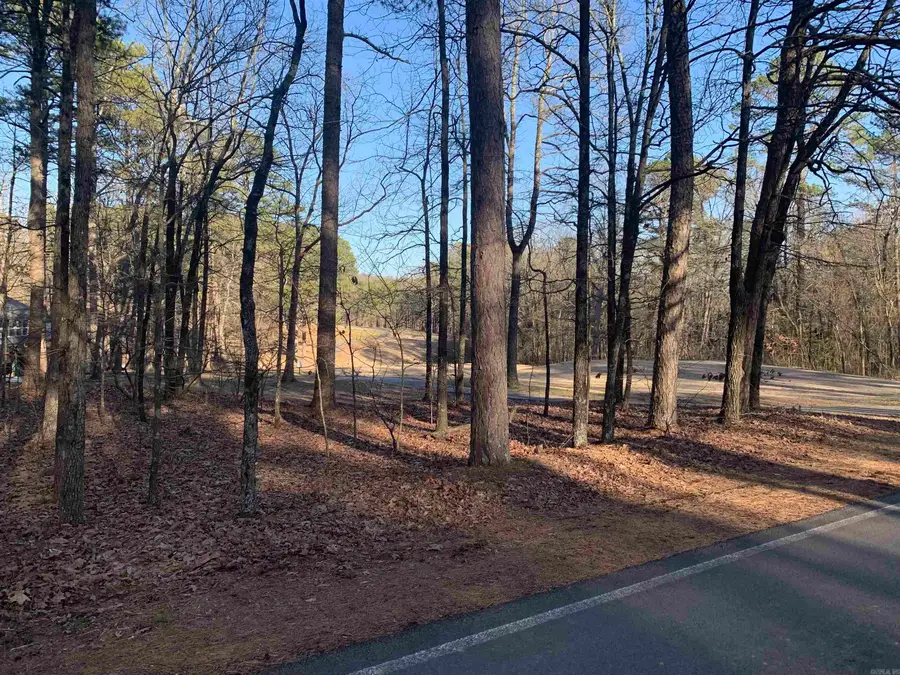 11 Castle Ridge Heights, Fairfield Bay, AR 72088 - #2