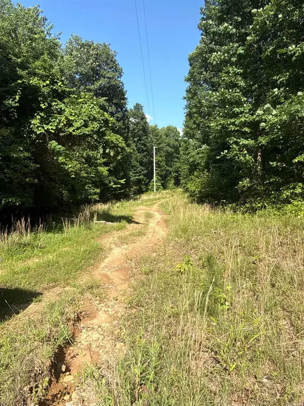 00 Peyton Mountain Road, Dennard, AR 72629