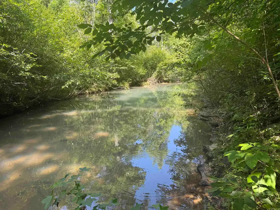 00 Peyton Mountain Road, Dennard, AR 72629 - #3