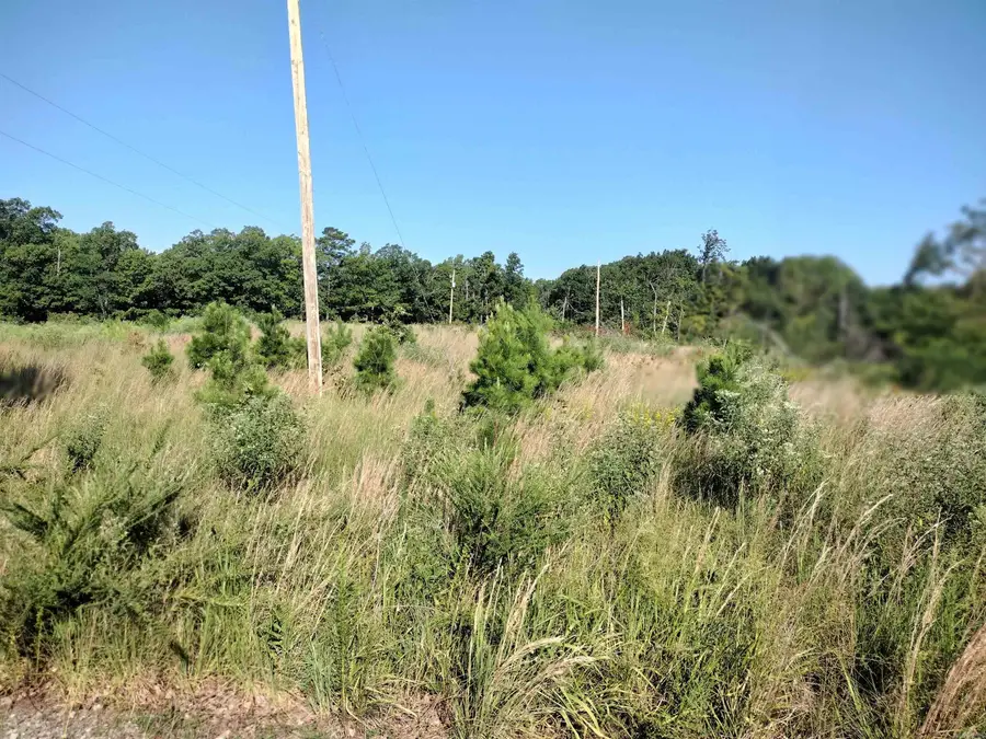 1700 Sutterfield Rd, Fox, AR 72051 - #2