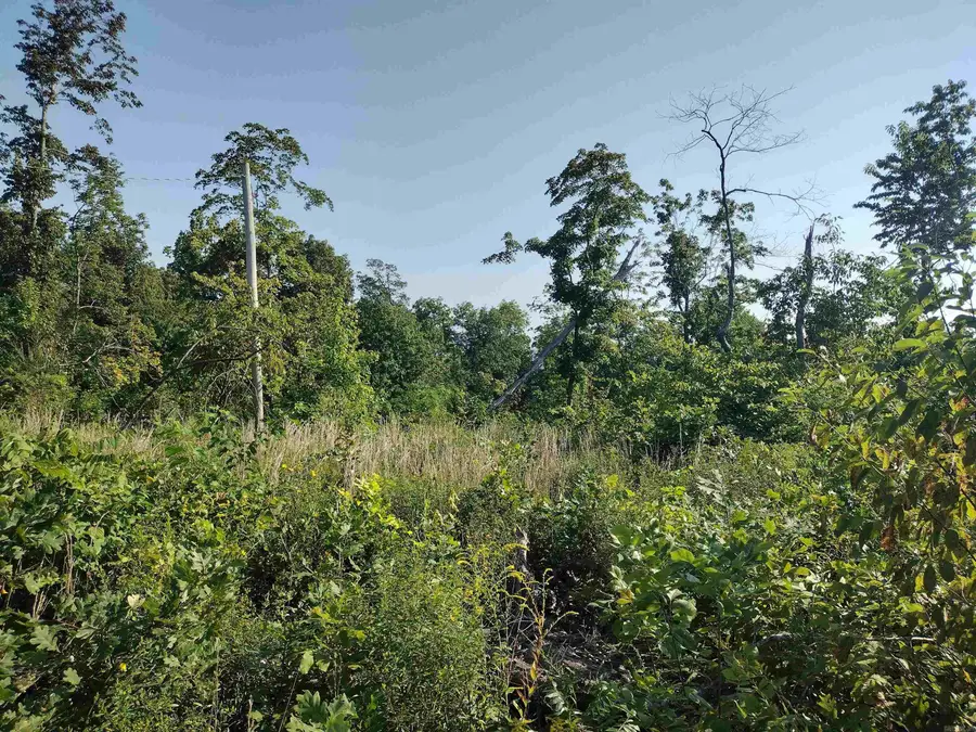 000 Sutterfield Road, Fox, AR 72051 - #2