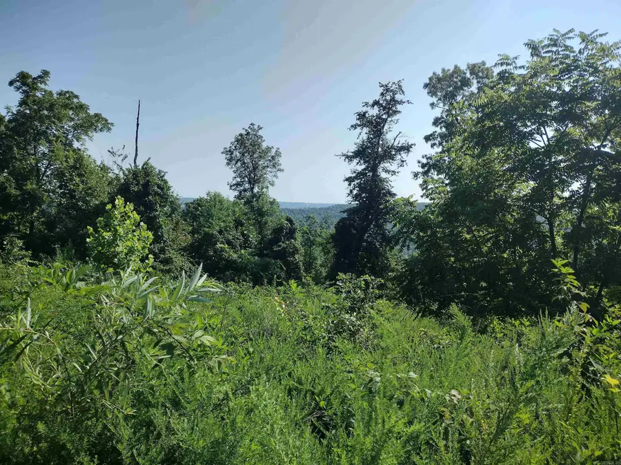 000 Sutterfield Road, Fox, AR 72051 - #3