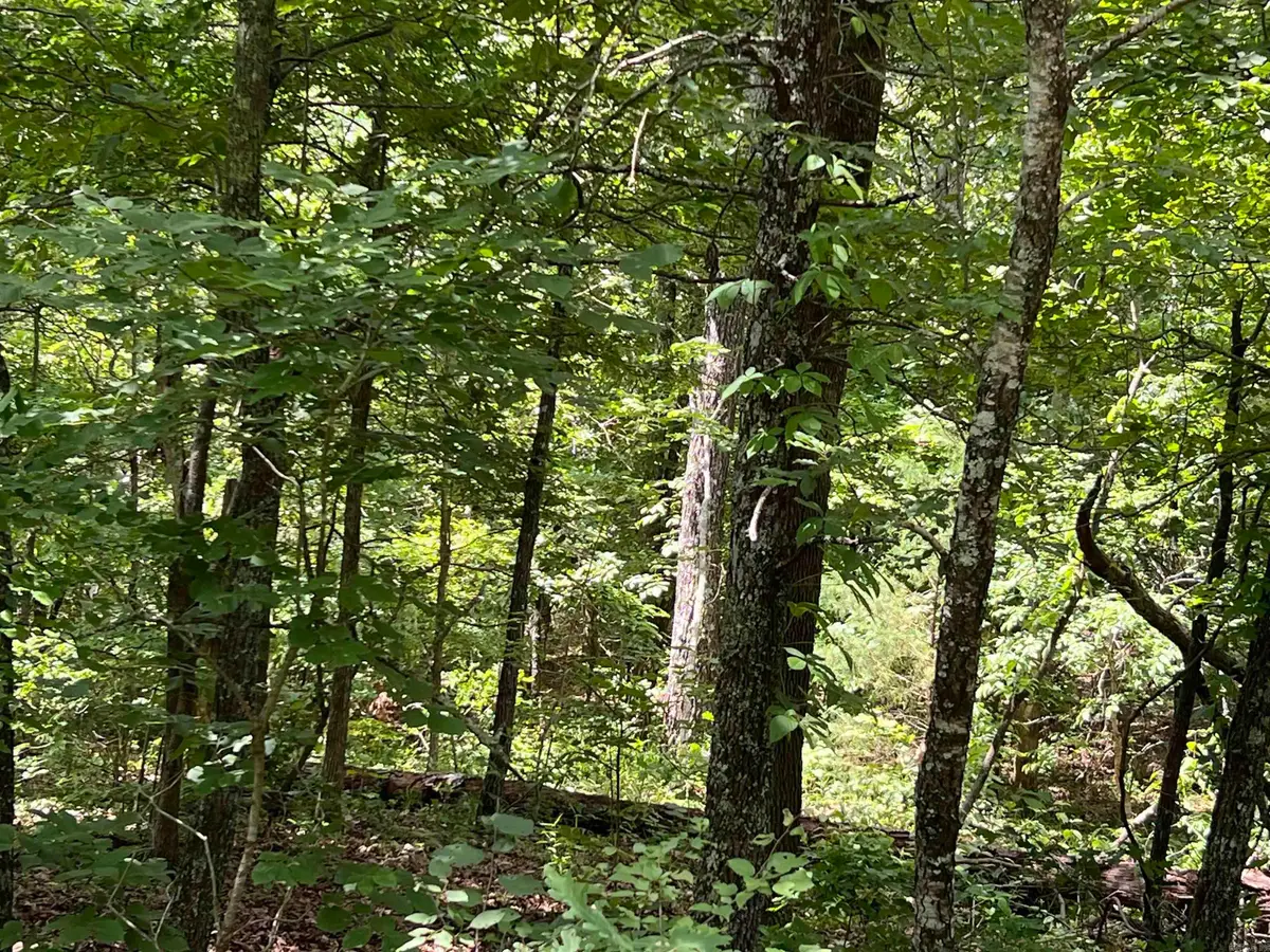 000 Pr Off Ridge Haven, Mammoth Spring, AR 72554 - #1
