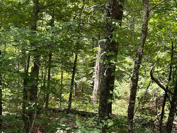 000 Pr Off Ridge Haven, Mammoth Spring, AR 72554