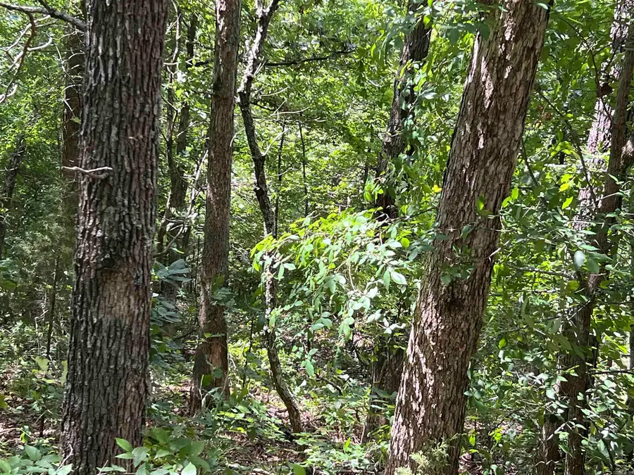 000 Pr Off Ridge Haven, Mammoth Spring, AR 72554 - #2