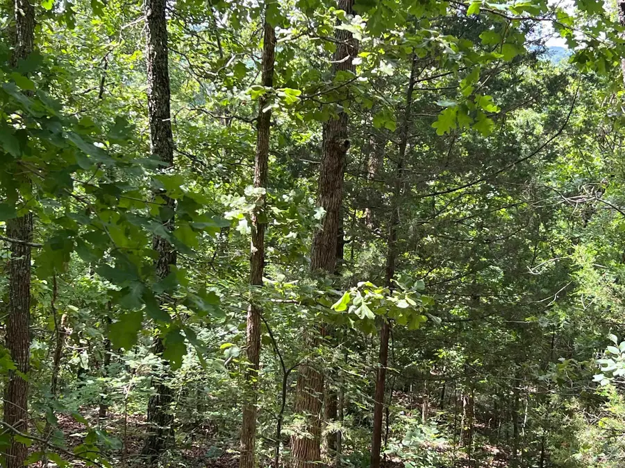 000 Pr Off Ridge Haven, Mammoth Spring, AR 72554 - #3