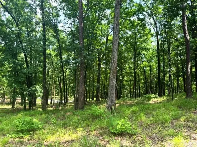 133 Bethesda Ridge Lane, Mena, AR 71953 - #2