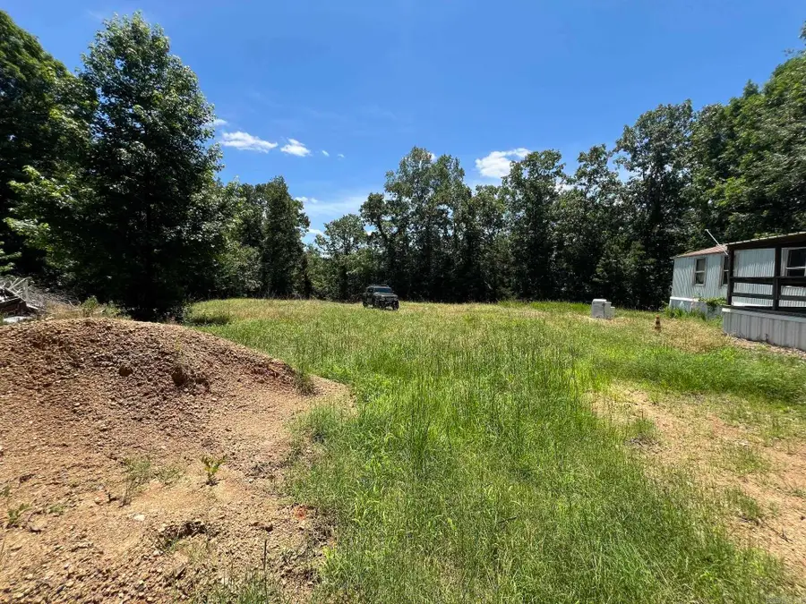 196 Zoe Ln, Clinton, AR 72031 - #2
