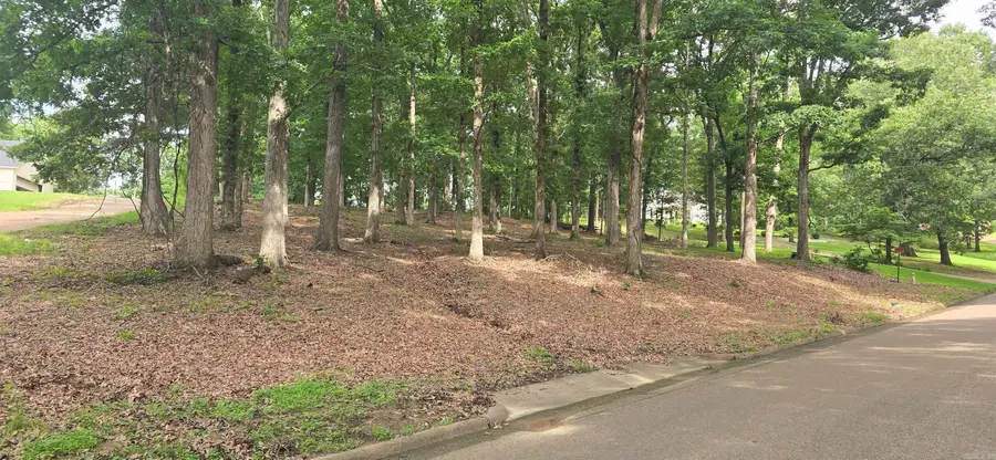 Kerry Dr, Wynne, AR 72396 - #3