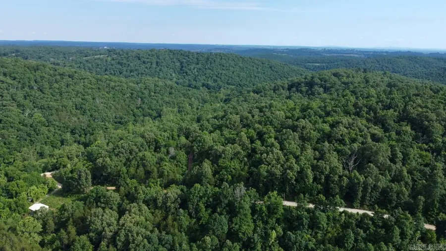 106 Mc 3046, Yellville, AR 72687 - #3