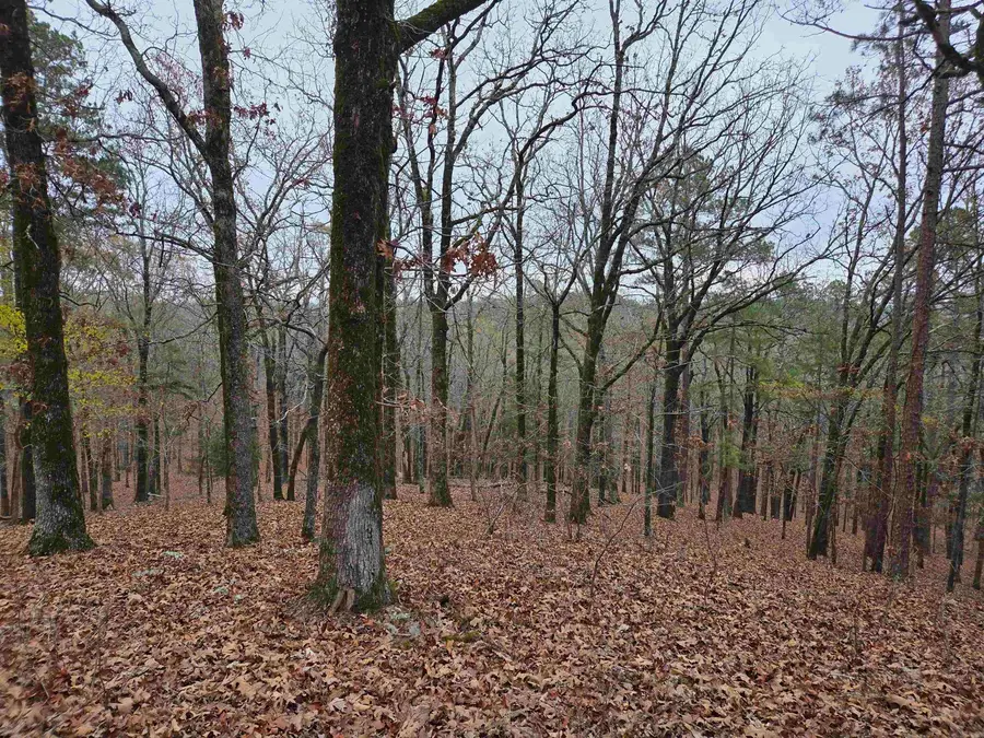 00 Colonel Glenn Road, Little Rock, AR 72210 - #3