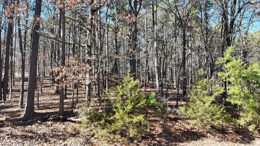 256 Lakeside Drive, Fairfield Bay, AR 72088 - #3