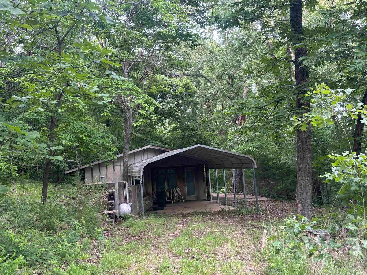 124 Bluffs Drive, Mountain View, AR 72560 - #1