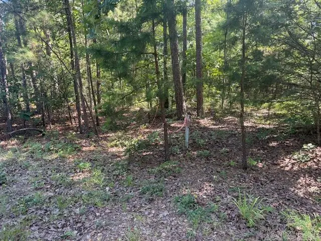 27 Vinca Place, Hot Springs Village, AR 71909 - #3