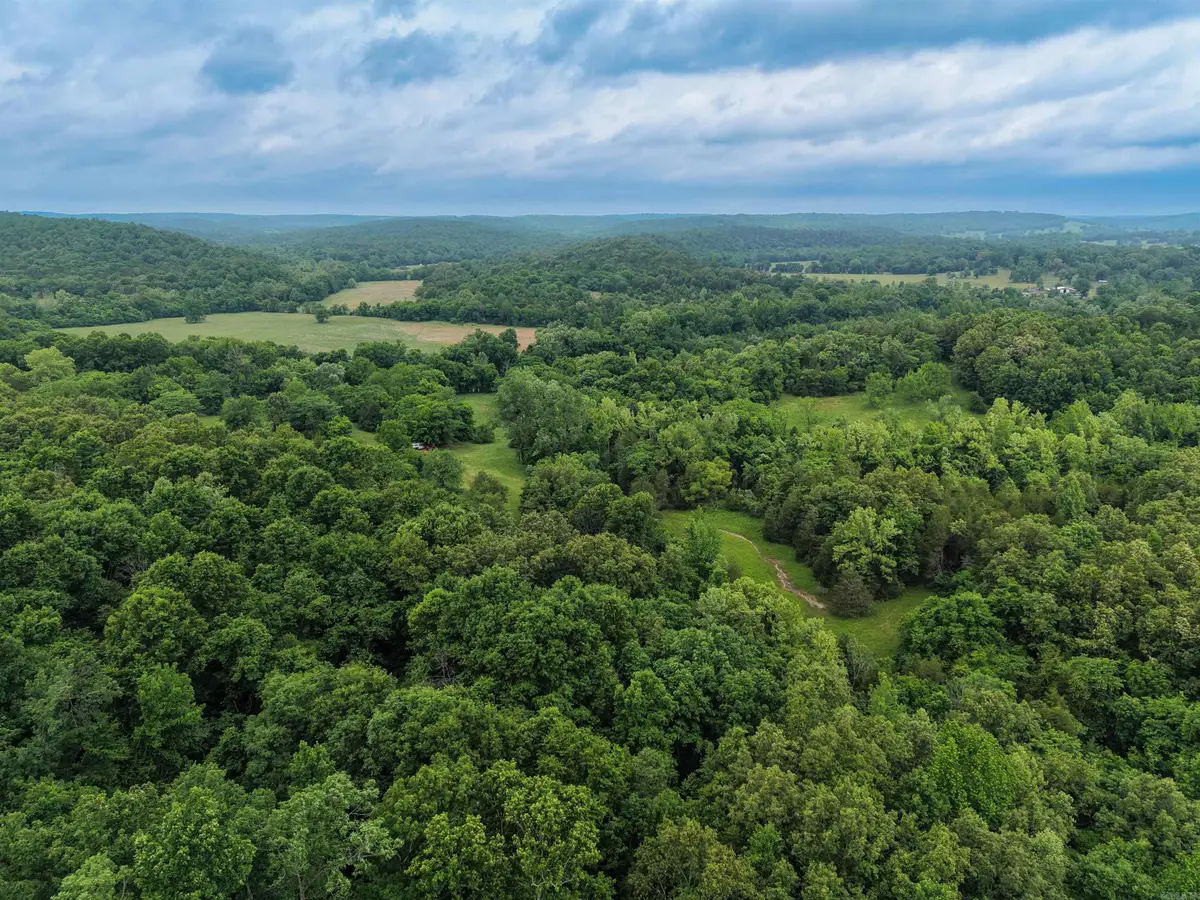 0 Highway 63, Williford, AR 72482 - #1