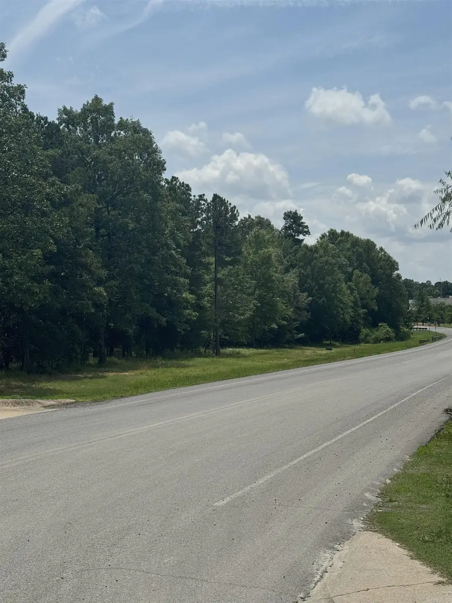 Lot 2 Louis Nelson Drive, Maumelle, AR 72113 - #3