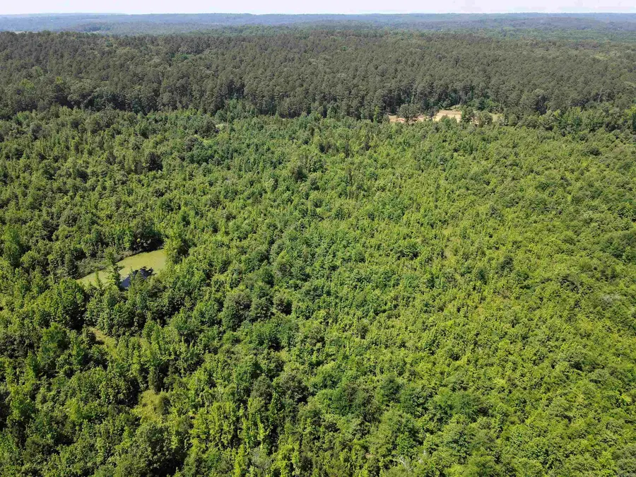 000 92 Highway, Springfield, AR 72157 - #2