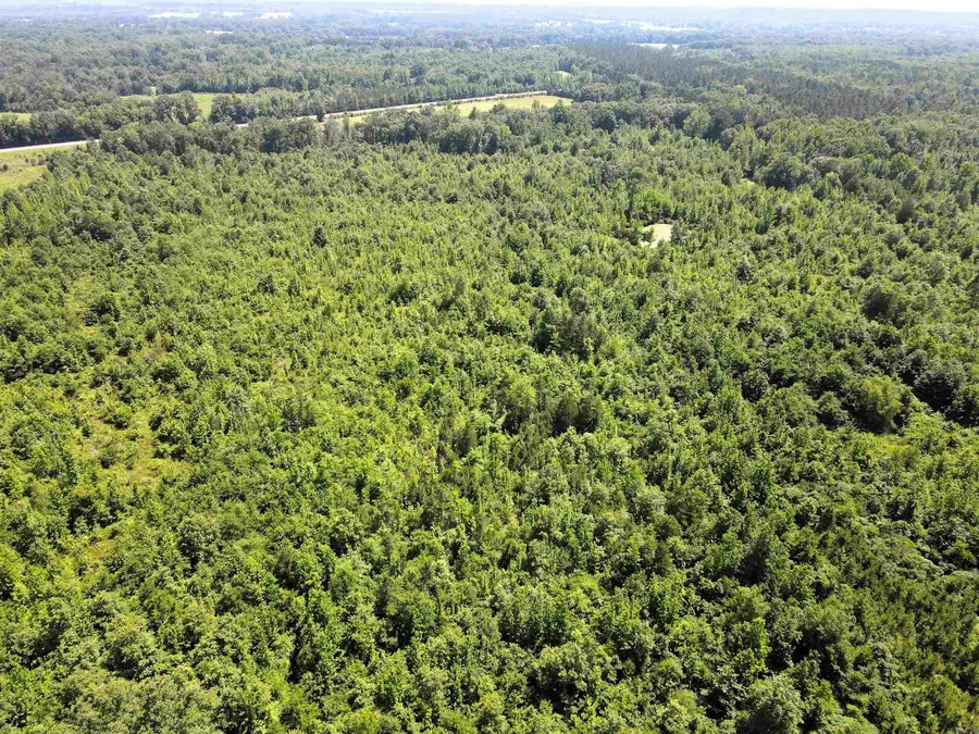 000 92 Highway, Springfield, AR 72157 - #3