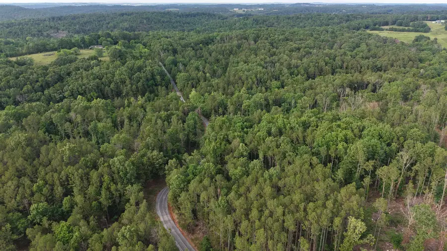 26A Kerley Point Road, Elizabeth, AR 72531 - #2