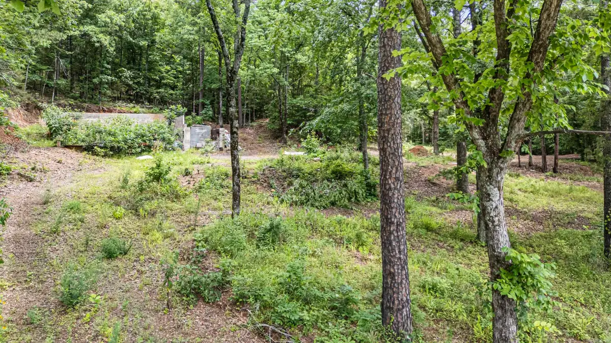 1656 Walnut Valley Drive, Dover, AR 72837 - #1