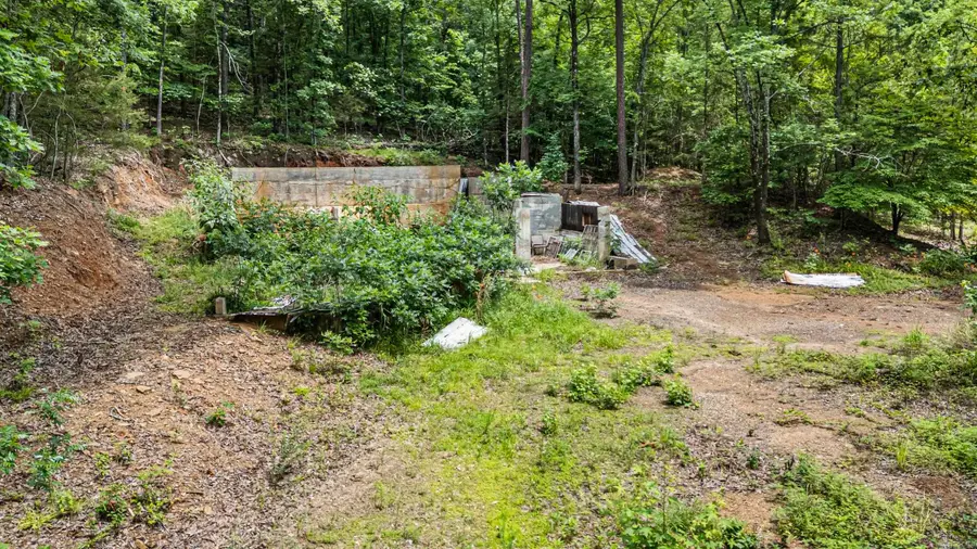 1656 Walnut Valley Drive, Dover, AR 72837 - #2