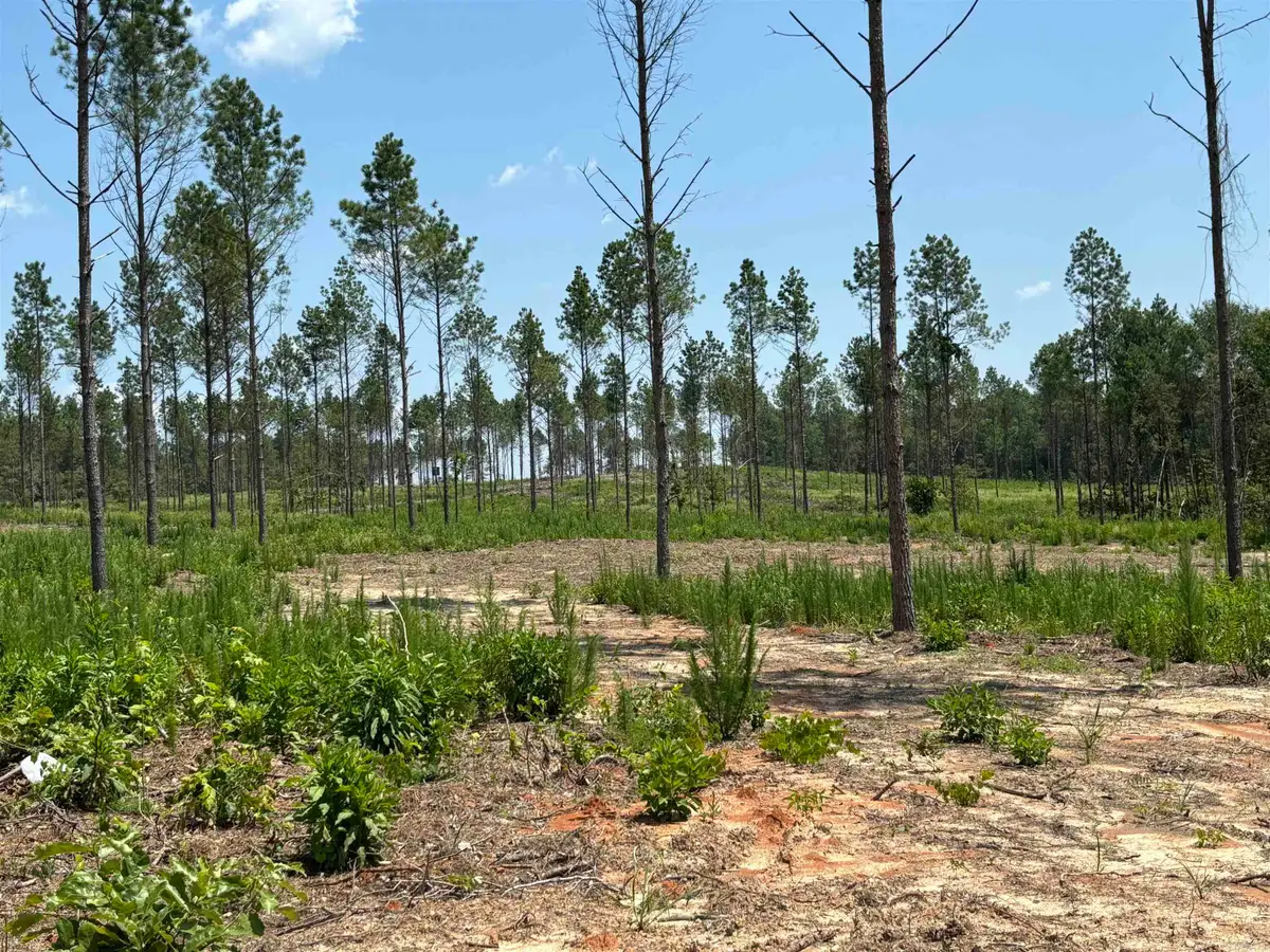 0 Grant 43 (d), Sheridan, AR 72150 - #1