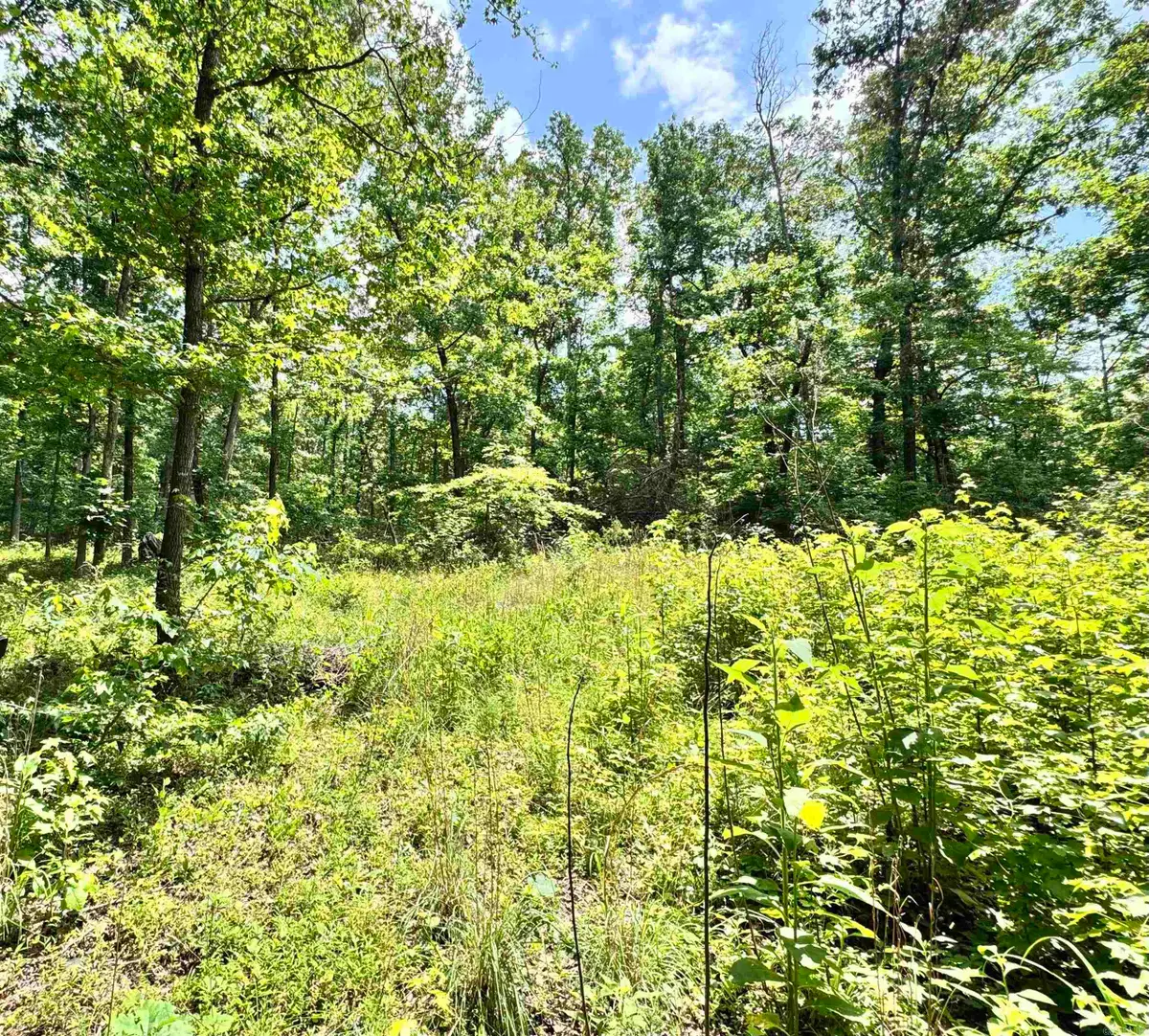00 Meadow Creek Road, Clinton, AR 72031 - #1