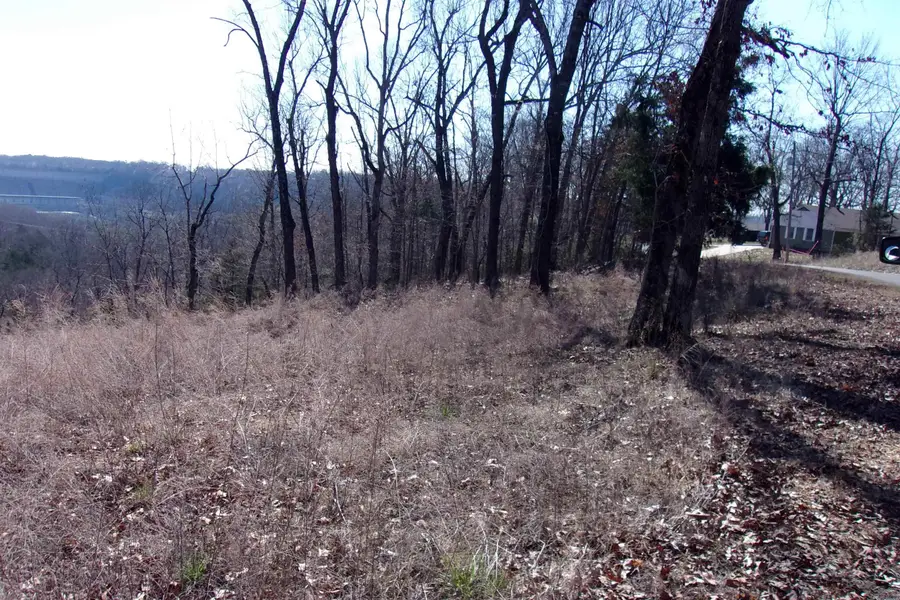 lots Country Club Ln, Bull Shoals, AR 72619 - #2