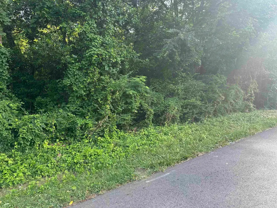 TBD Hollywood Avenue, Hot Springs, AR 71901 - #3