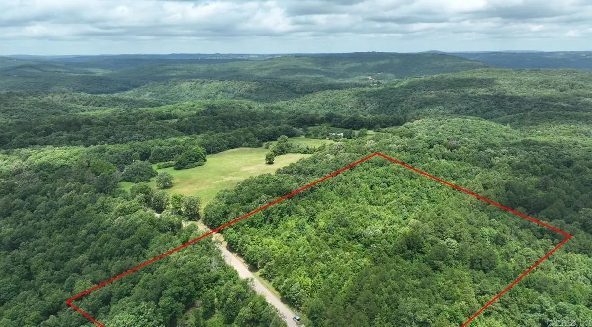 1955 Brock Road, Wheeler, AR 72031 - #1