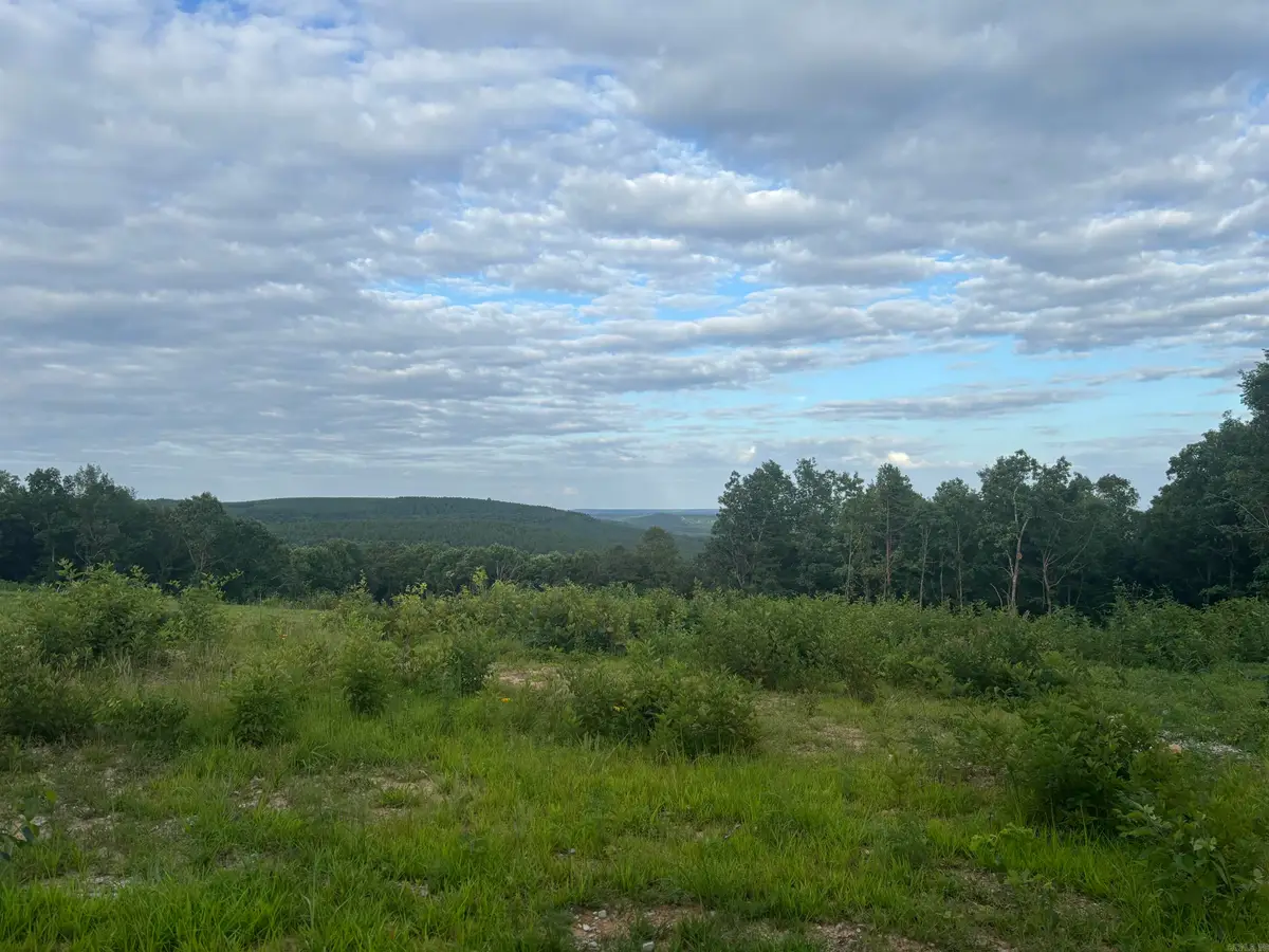 2095 Dry Mountain Road, Drasco, AR 72530 - #1