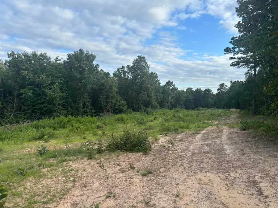 2095 Dry Mountain Road, Drasco, AR 72530 - #3