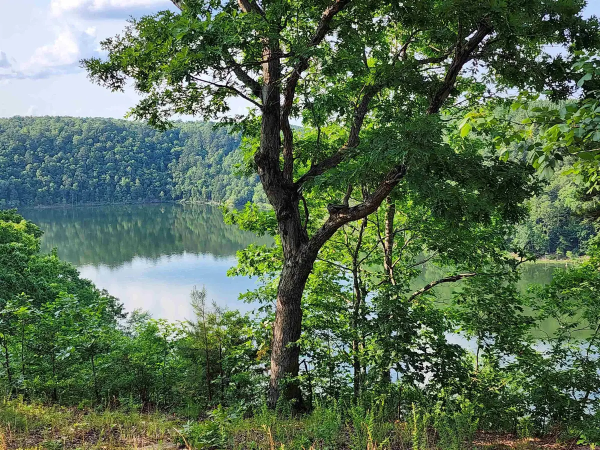 Lot 23 Sylvia Finch Misty Mountain, Searcy, AR 72143 - #1