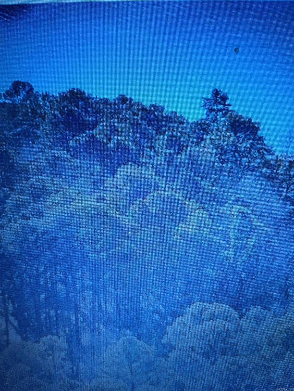 224 Lakeside Dr, Fairfield Bay, AR 72088 - #1