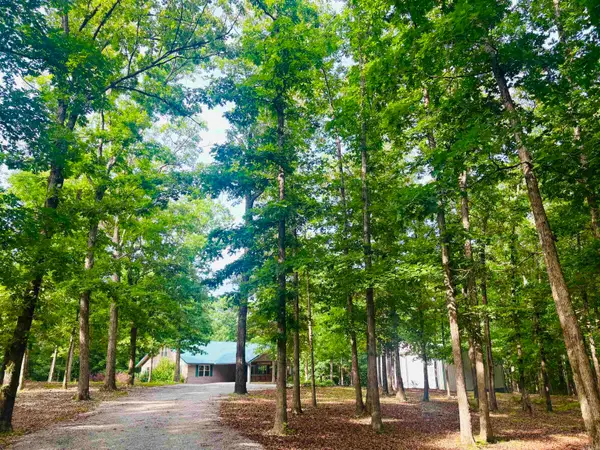 252 Mitchell Road, Mountain View, AR 72560