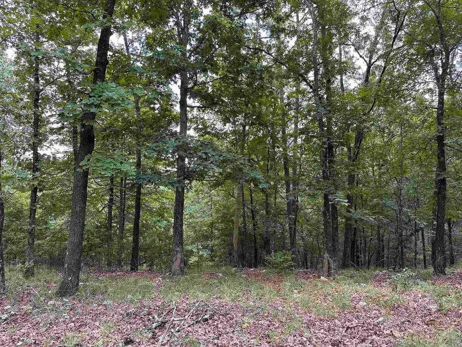 Vista View Pl, Hot Springs, AR 71901 - #2