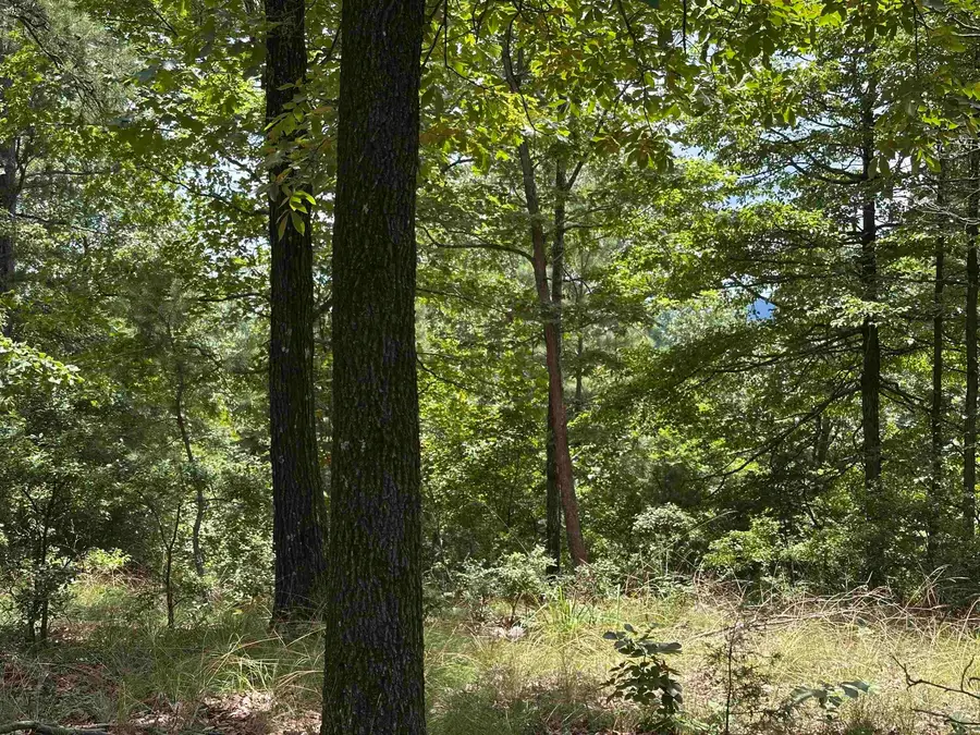 Vista View Pl, Hot Springs, AR 71901 - #3