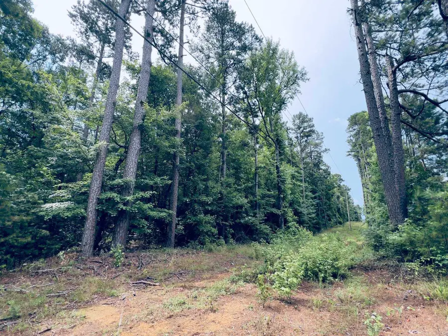 Address Withheld By Seller, Mena, AR 71953 - #3