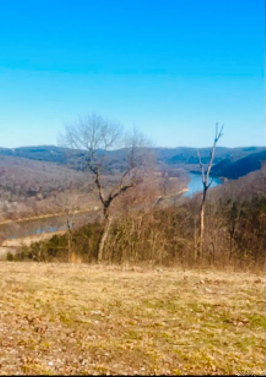 1277 Eagle Point Road, Mountain View, AR 72560 - #1