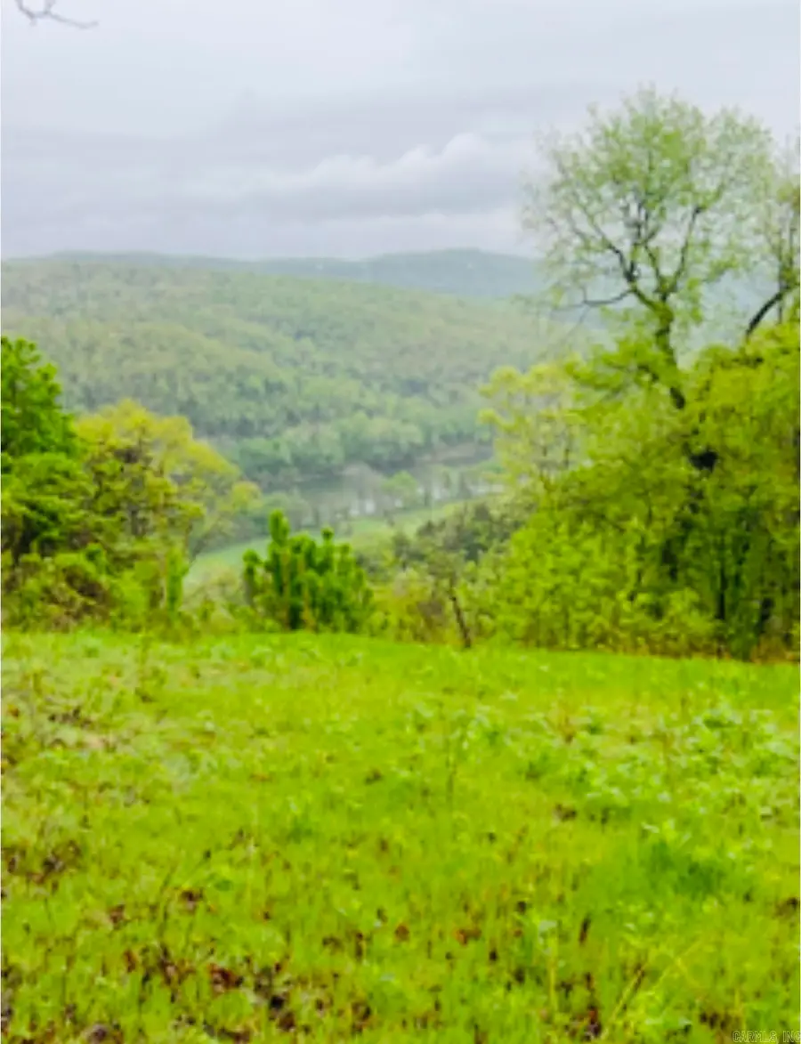 1277 Eagle Point Road, Mountain View, AR 72560 - #2